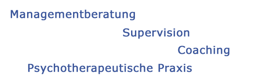 Mag. Dr. Lukas Hartnig, MSc MAS, Managementberatung, Supervision & Coaching, Psychotherapeutische Praxis